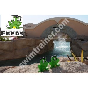 FREDS SWIM ACADEMY ŻABKA FREDDY PISZCZĄCA GUMOWA HIT